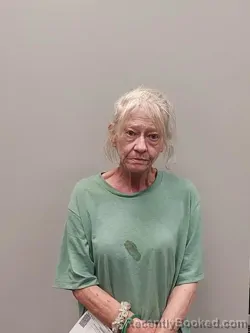 Mugshot of Deborah Aeline Ball booked in Smyth County, Virginia on May 29, 2026