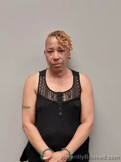 Mugshot of Denise L Ervin booked in Smyth County, Virginia on May 11, 2026