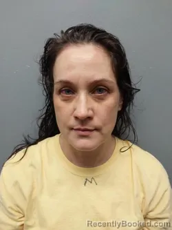 Mugshot of Erica Noelle Mcclintock booked in Smyth County, Virginia on September 15, 2026