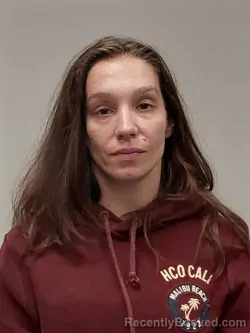 Mugshot of Elizabeth D Savinsky booked in Smyth County, Virginia on March 27, 2026