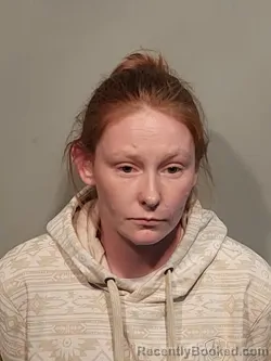 Mugshot of Karrlee Ann Lawson Gallihar booked in Smyth County, Virginia on March 31, 2026