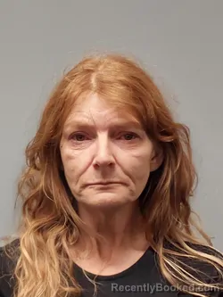 Mugshot of Kimberly Dawn Harrison booked in Smyth County, Virginia on October 18, 2026