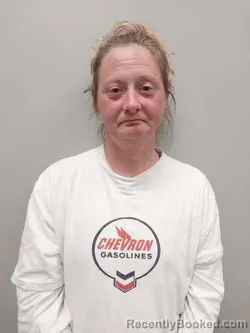 Mugshot of Lana Harrington Henry booked in Smyth County, Virginia on March 14, 2026