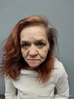 Mugshot of LORI PILKINS
