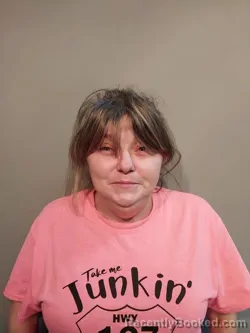 Mugshot of Melissa Ann Catron