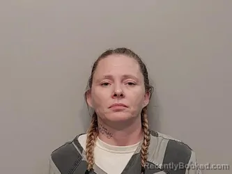 Mugshot of Mary Ann Frye booked in Smyth County, Virginia on June 26, 2026