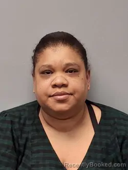 Booking photo from Smyth County, Virginia