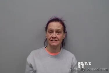 Booking photo from Smyth County, Virginia
