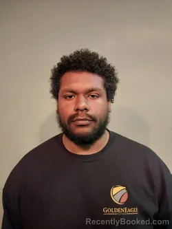 Booking photo from Smyth County, Virginia