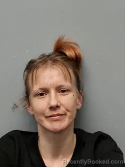 Booking photo from Smyth County, Virginia