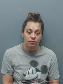 Mugshot of Shawna Danielle Galliher booked in Smyth County, Virginia on August 21, 2026