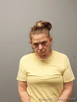 Booking photo from Smyth County, Virginia