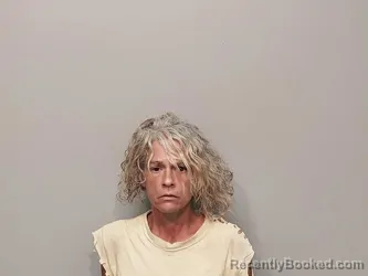 Mugshot of Tina Sumner booked in Smyth County, Virginia on June 26, 2026