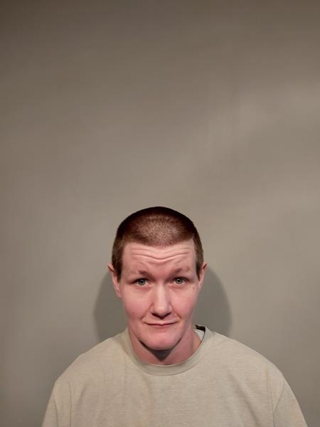 Mugshot of Brooke Denise Long