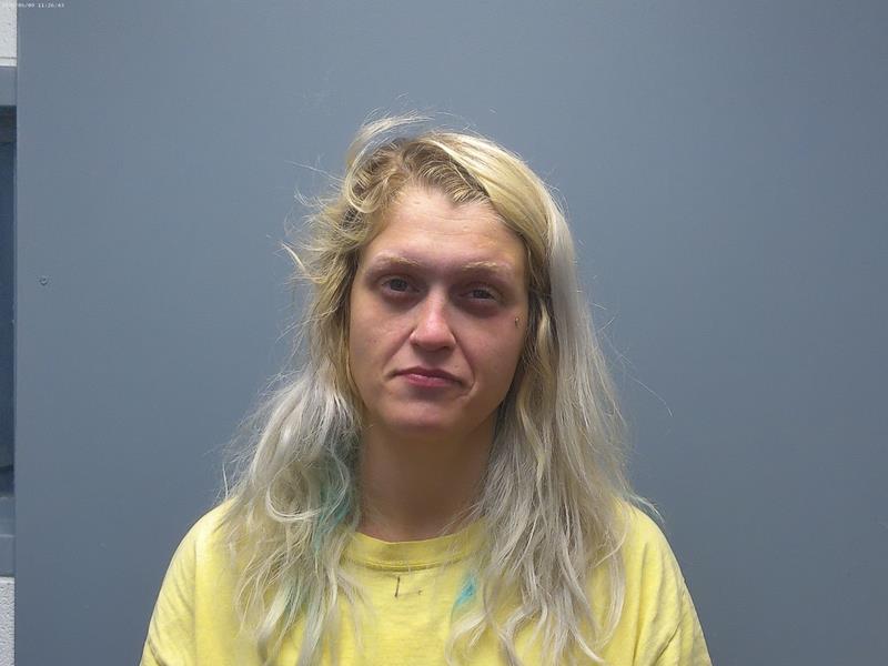 Mugshot of CYNTHIA Rose WHITMER booked in Tazewell County, Virginia on May 4, 2026