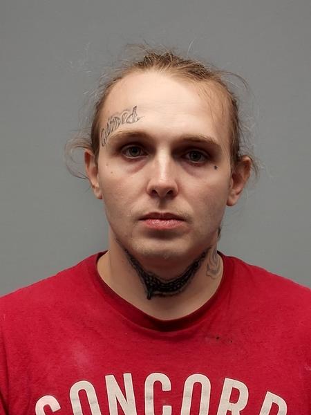 Mugshot of Dakota Lee Steele booked in Tazewell County, Virginia on June 1, 2026