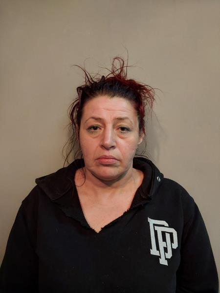 Mugshot of Jennifer Michelle Gosnell