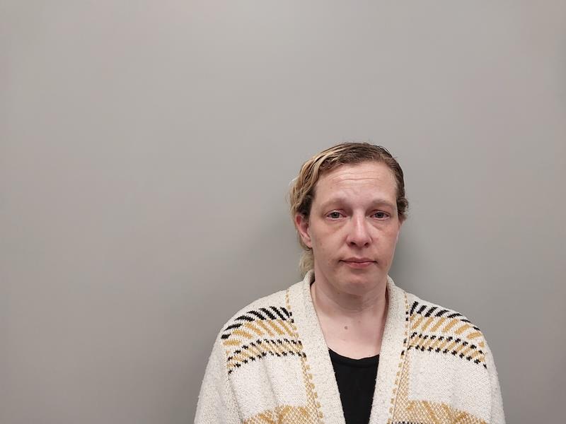 Mugshot of Shawna Renee Cole booked in Tazewell County, Virginia on May 20, 2026