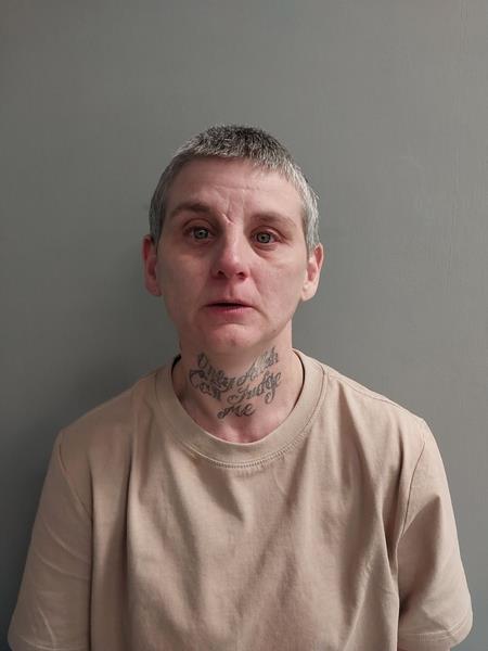 Mugshot of Sharon Kay Lipps booked in Tazewell County, Virginia on March 26, 2026