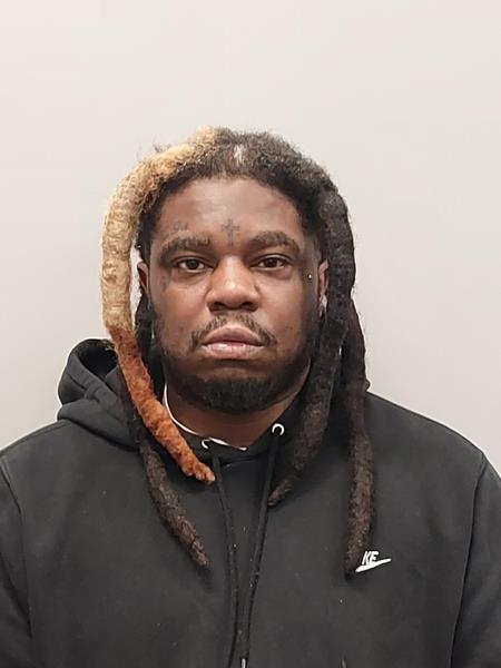 Mugshot of Terry Nikita Johnson