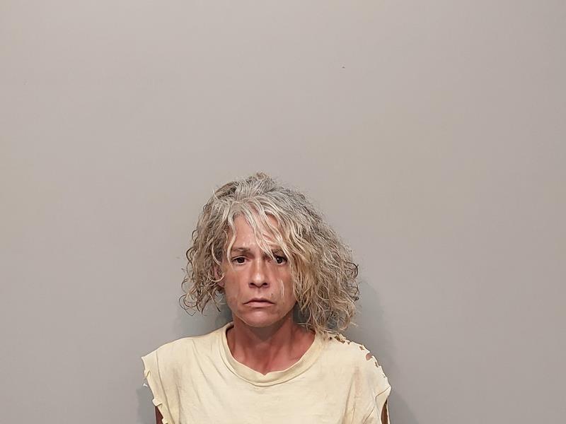Mugshot of Tina Sumner booked in Tazewell County, Virginia on June 26, 2026