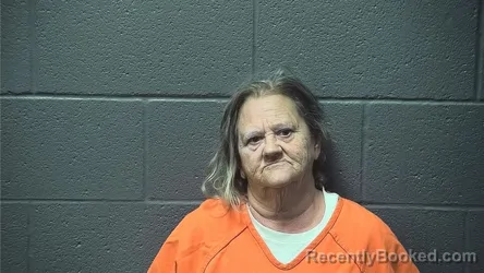 Mugshot of DAWN ELIZABETH TRUEHART booked in Warren County, Virginia on June 28, 2026