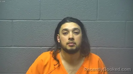 Mugshot of LUIS ROMAN LOPEZ GUTIERREZ