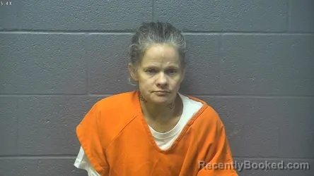 Booking photo from Warren County, Virginia