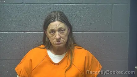 Mugshot of LISA ANN SHORT