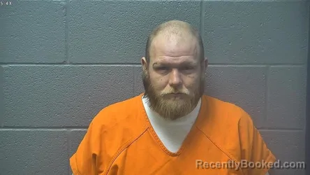 Mugshot of RONEL DEAN DRISCOLL