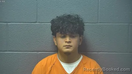 Mugshot of WILBER ADRIAN RIVERA YANES