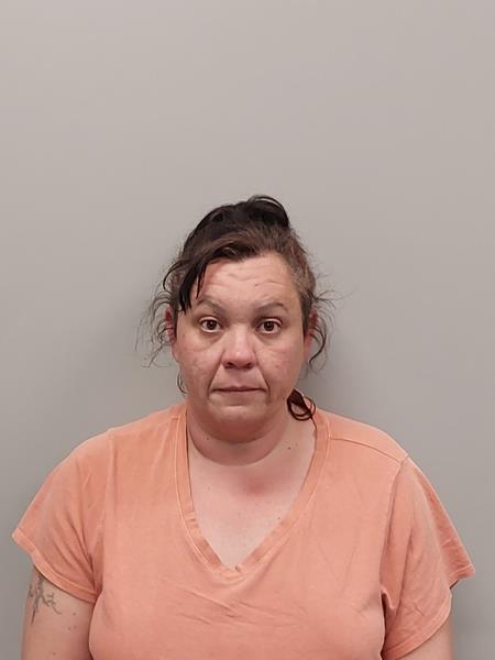 Mugshot of Anastasia Dawn Adams booked in Washington County, Virginia on April 29, 2026