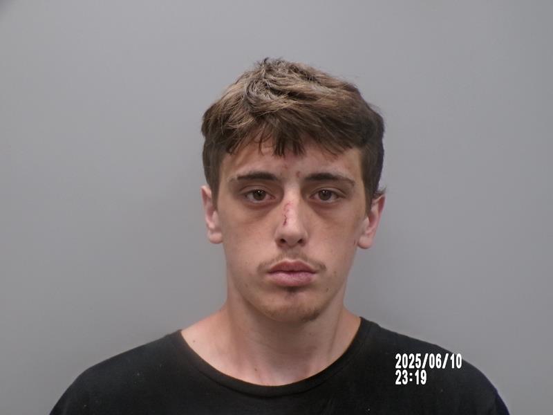 Mugshot of Andrew Scott Bradley