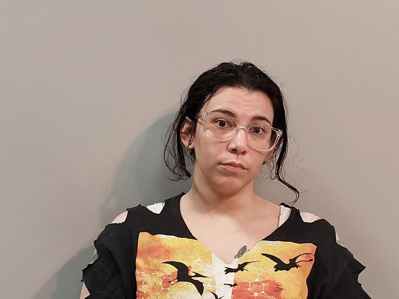 Mugshot of Amica Mashaya Crusenberry booked in Washington County, Virginia on August 7, 2026