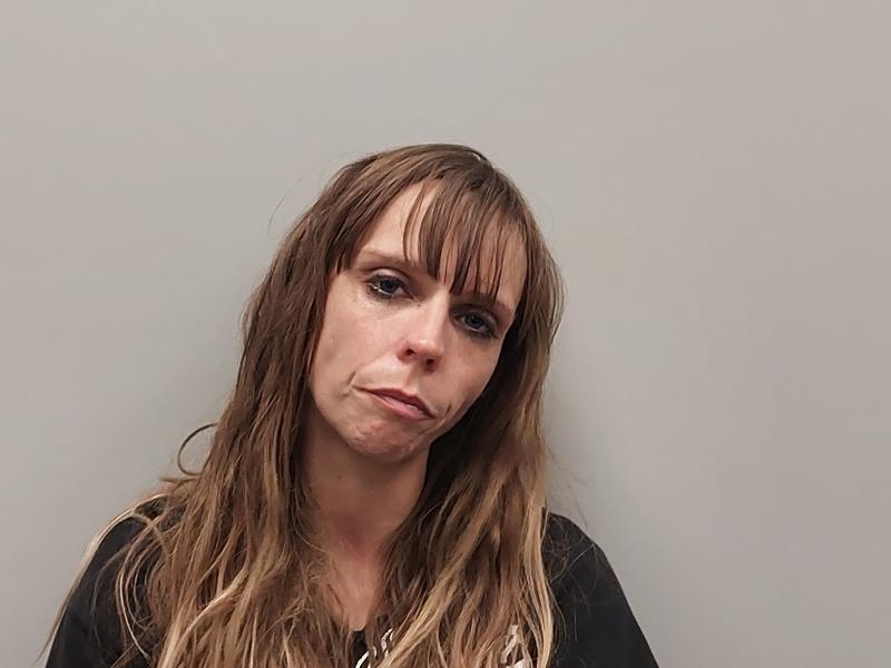 Mugshot of AMANDA LYNN DENNISON booked in Washington County, Virginia on June 24, 2026