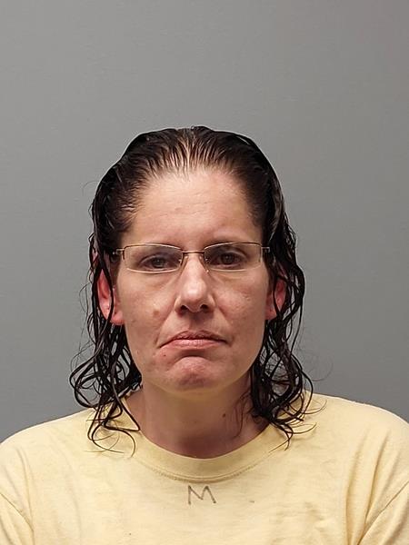 Mugshot of APRIL MARIE GOINS booked in Washington County, Virginia on June 16, 2026