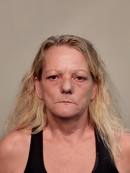 Mugshot of Antionette Lee Laney booked in Washington County, Virginia on July 2, 2026