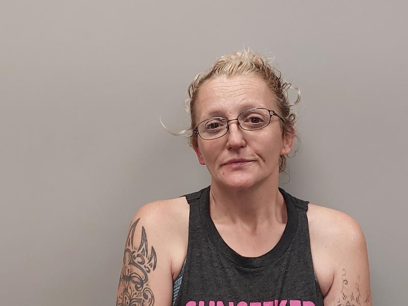 Mugshot of Amanda Dawn Mitchell booked in Washington County, Virginia on March 31, 2026