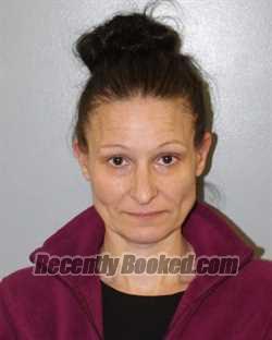 Booking photo from Washington County, Virginia