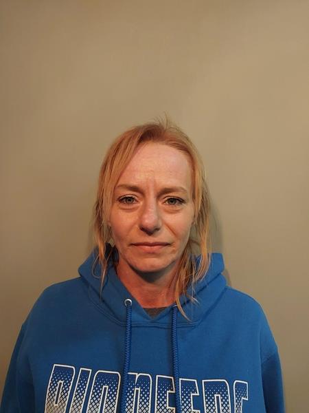 Booking photo from Washington County, Virginia