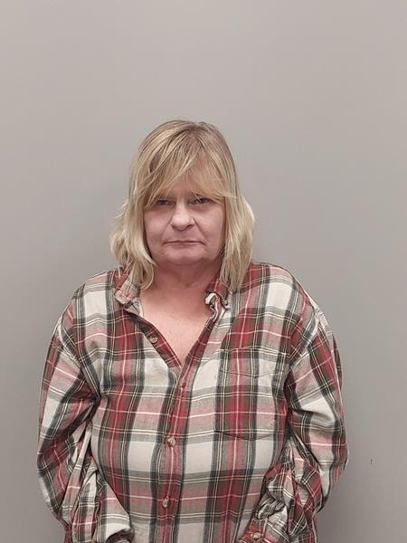 Mugshot of Brenda Kay Anderson booked in Washington County, Virginia on March 28, 2026