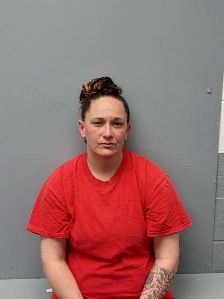 Booking photo from Washington County, Virginia