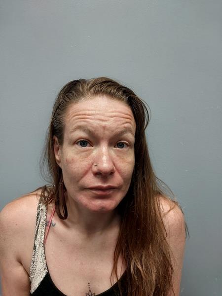 Mugshot of BRANDI NICOLE CASEY booked in Washington County, Virginia on June 9, 2026