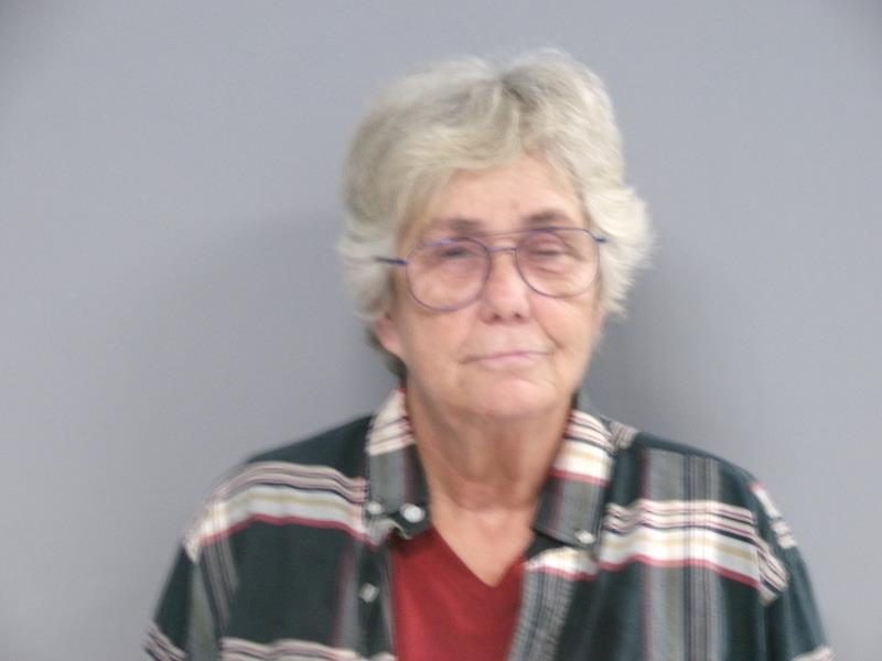 Mugshot of Brenda Lynn Chapman booked in Washington County, Virginia on August 14, 2026