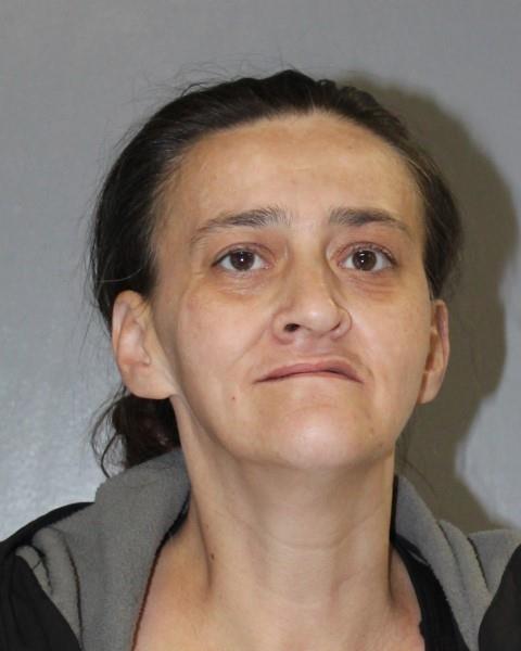 Mugshot of BARBARA RUTH FIELDS WINEBARGER booked in Washington County, Virginia on April 3, 2026