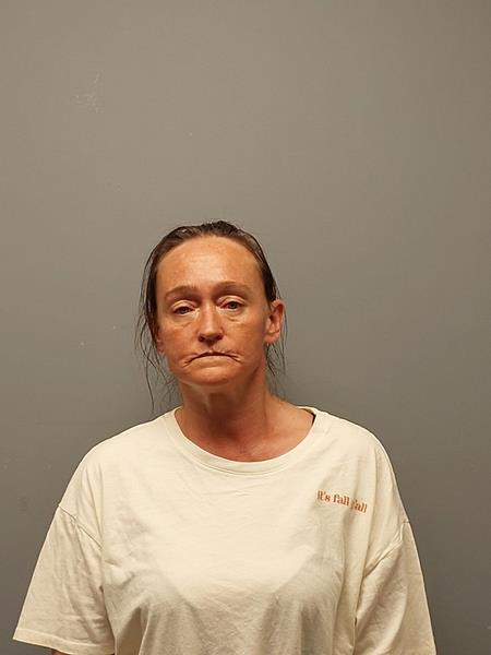 Mugshot of Bonnie Ann Gentry booked in Washington County, Virginia on October 15, 2026