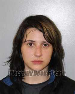 Booking photo from Washington County, Virginia