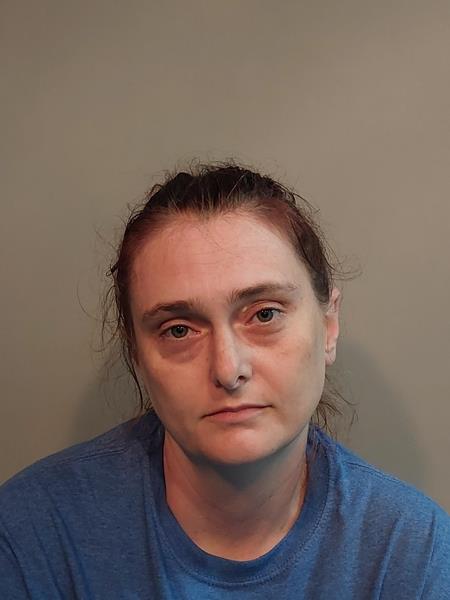 Mugshot of Brittany Ann Wells booked in Washington County, Virginia on July 28, 2026