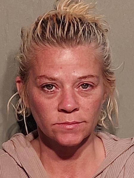 Mugshot of Cindy Marie Anderson booked in Washington County, Virginia on August 8, 2026