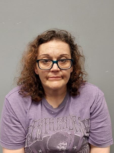 Mugshot of Cheri Leann Collins booked in Washington County, Virginia on June 14, 2026